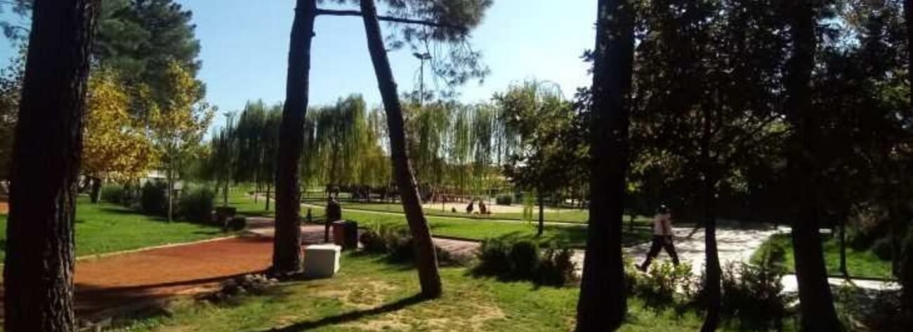 Çekmeköy Tekerlekli Sandalye Kiralama